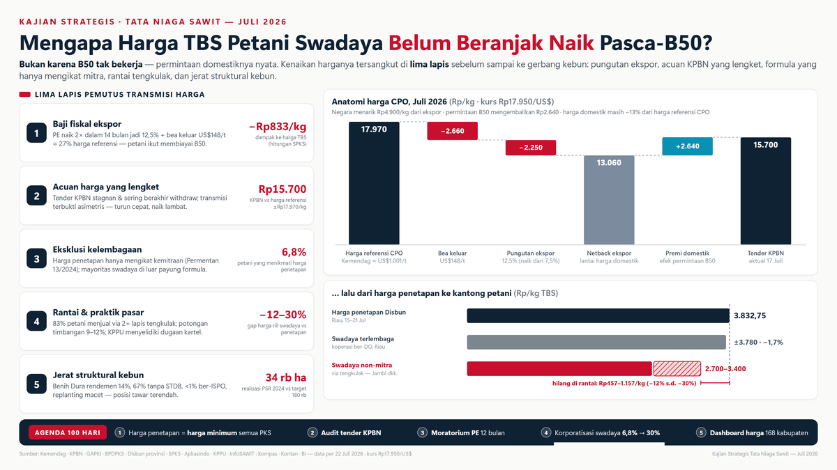 Infografis kajian TBS pasca-B50